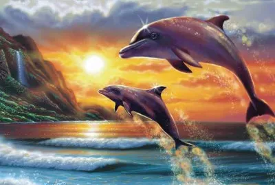 imagens