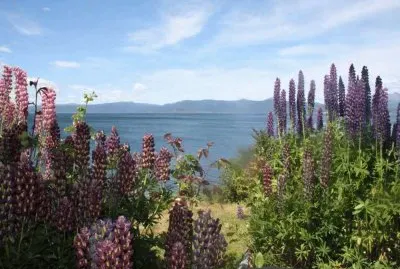 belleza argentina