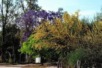 En San Antonio. Catamarca. Argentina