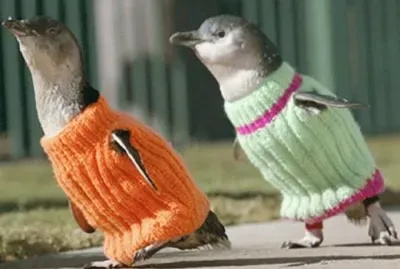 que frio