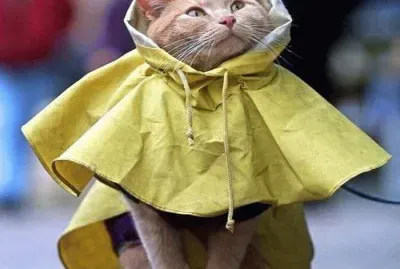 como llueve