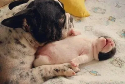 mamita