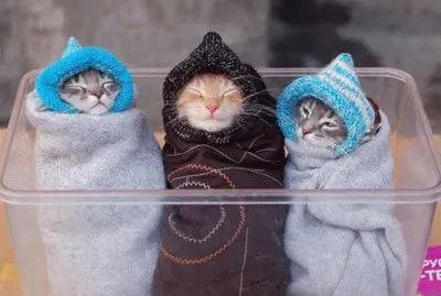 que frio
