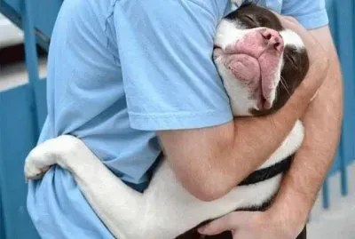 abrazo