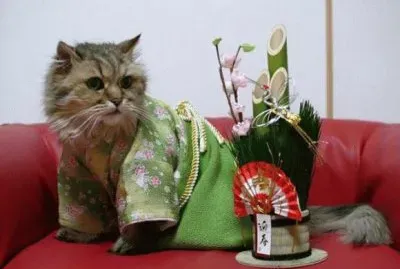 kimono