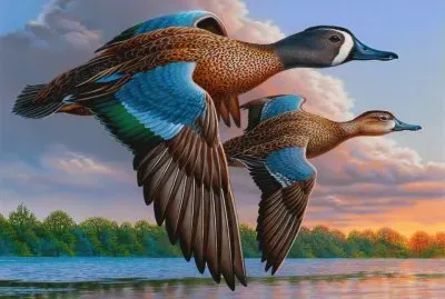 pÃ¡ssaro jigsaw puzzle