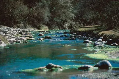 PN El Rey. Salta. Argentina