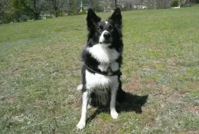 kenaÃ¯ attend sa balle