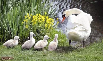 ××ž× jigsaw puzzle