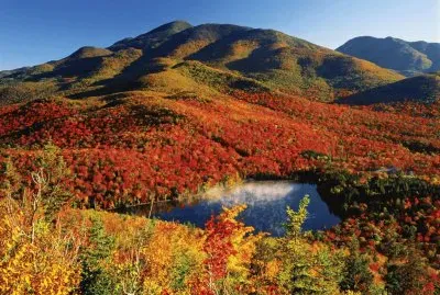 NATUREZA jigsaw puzzle