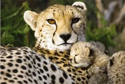 mom#201 jigsaw puzzle