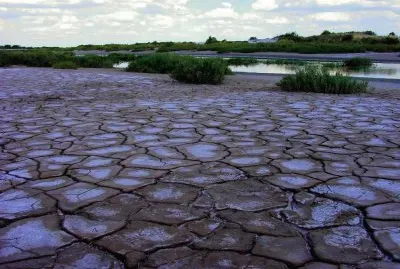 Orillas del Saladillo. Santiago del Estero. Argentina