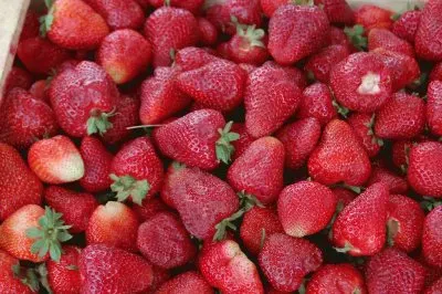 frutillas mercedinas jigsaw puzzle