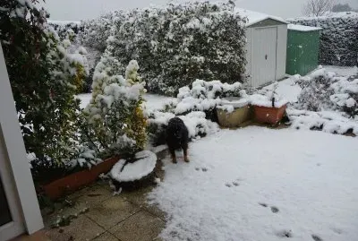 Lilou dans la neige