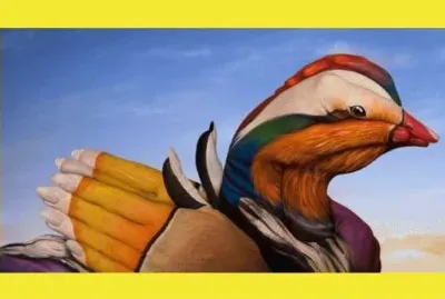 curiositÃ  jigsaw puzzle