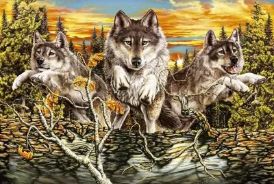 פאזל של imagens