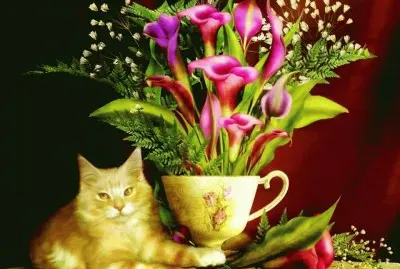 פאזל של imagens