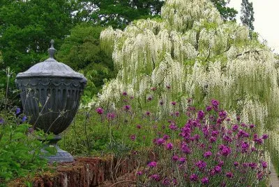 primavera jigsaw puzzle