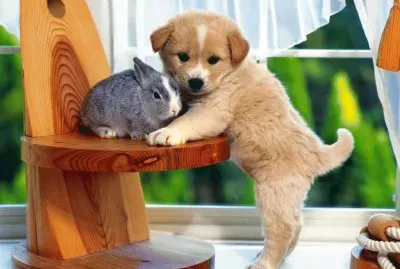 amistad