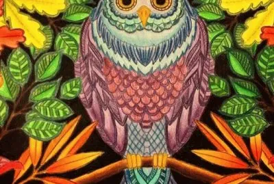 Colored Owl