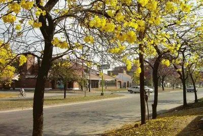 En San Miguel de TucumÃ¡n. Argentina