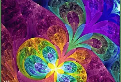 Beauty Flowers