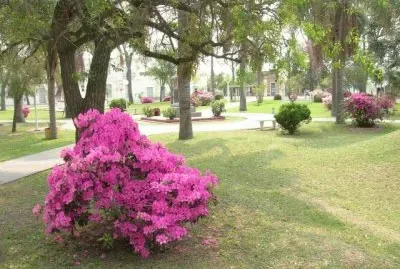 Romang. Santa Fe. Argentina