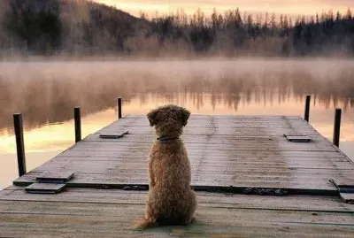 esperando