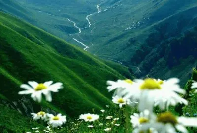 imagens jigsaw puzzle