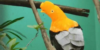 paisaje jigsaw puzzle