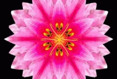 פאזל של mandala