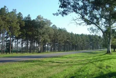 En Obanta. TucumÃ¡n. Argentina