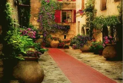 Interior en la Provenza-Francia