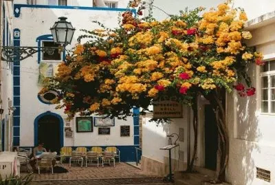 Albufeira-Portugal