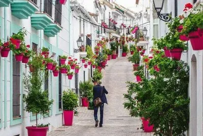 Estepona-Andalucia jigsaw puzzle