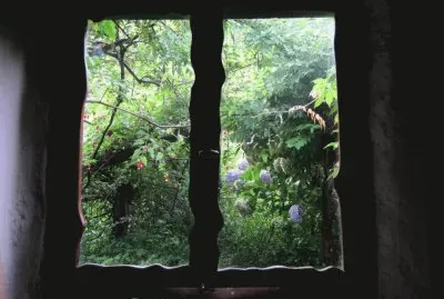 ventana a la naturaleza