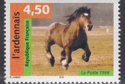 L  'ardennais