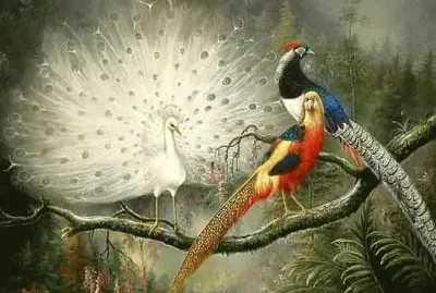 imagenes jigsaw puzzle