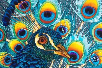 fantasia