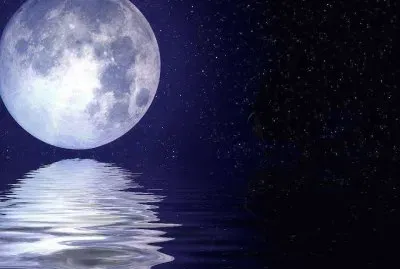 blue moon jigsaw puzzle