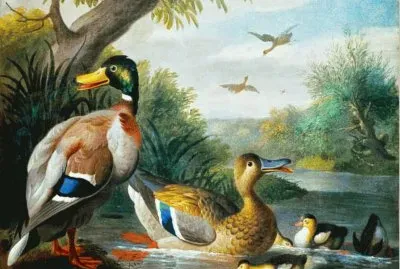 paisajes jigsaw puzzle