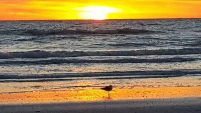 Indian Rocks Beach FL. -winter sunset jigsaw puzzle