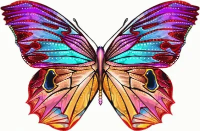 פאזל של Amazing Butterfly