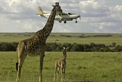 פאזל של imagens