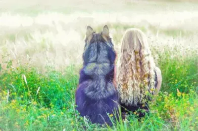 פאזל של my old friend