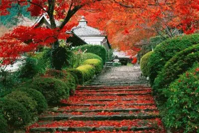 paisajes