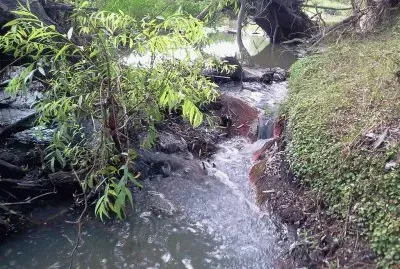 En la Provincia de Entre RÃ­os. Argentina jigsaw puzzle