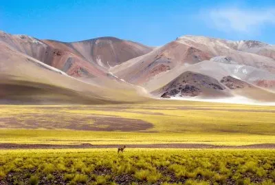 A la vera de la Ruta 60. Catamarca. Argentina