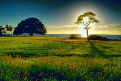 natureza