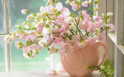 imagens jigsaw puzzle